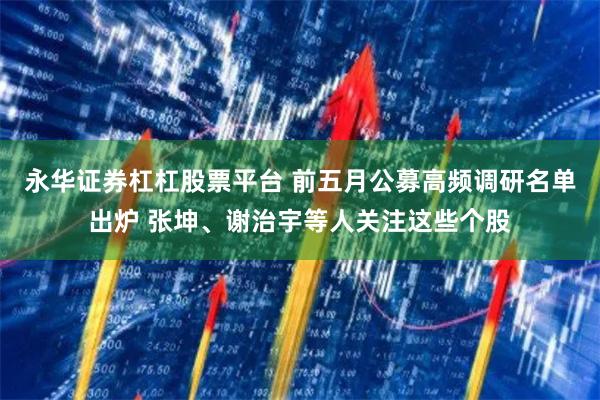 永华证券杠杠股票平台 前五月公募高频调研名单出炉 张坤、谢治宇等人关注这些个股