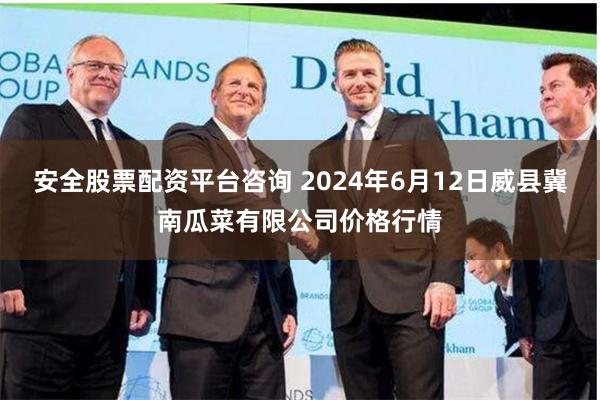 安全股票配资平台咨询 2024年6月12日威县冀南瓜菜有限公司价格行情