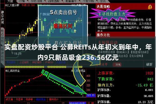 实盘配资炒股平台 公募REITs从年初火到年中,年内9只新品吸金236.56亿元