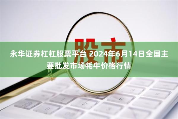 永华证券杠杠股票平台 2024年6月14日全国主要批发市场牦牛价格行情