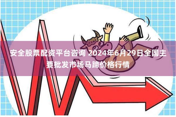 安全股票配资平台咨询 2024年6月29日全国主要批发市场马蹄价格行情