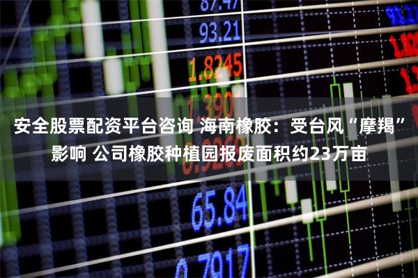 安全股票配资平台咨询 海南橡胶:受台风“摩羯”影响 公司橡胶种植园报废面积约23万亩