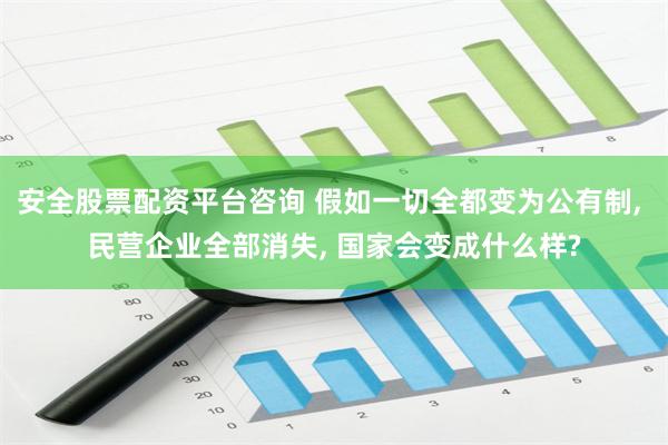 安全股票配资平台咨询 假如一切全都变为公有制, 民营企业全部消失, 国家会变成什么样?