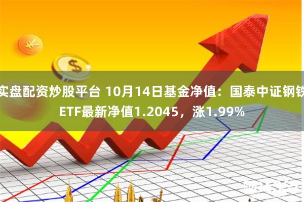 实盘配资炒股平台 10月14日基金净值:国泰中证钢铁ETF最新净值1.2045,涨1.99%