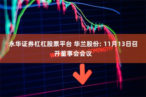 永华证券杠杠股票平台 华兰股份: 11月13日召开董事会会议