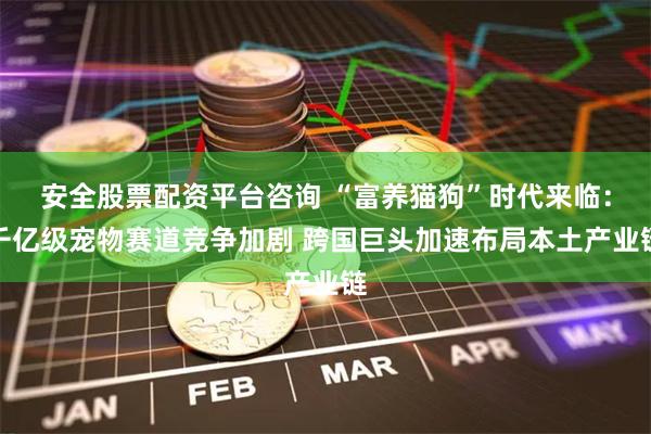 安全股票配资平台咨询 “富养猫狗”时代来临:千亿级宠物赛道竞争加剧 跨国巨头加速布局本土产业链