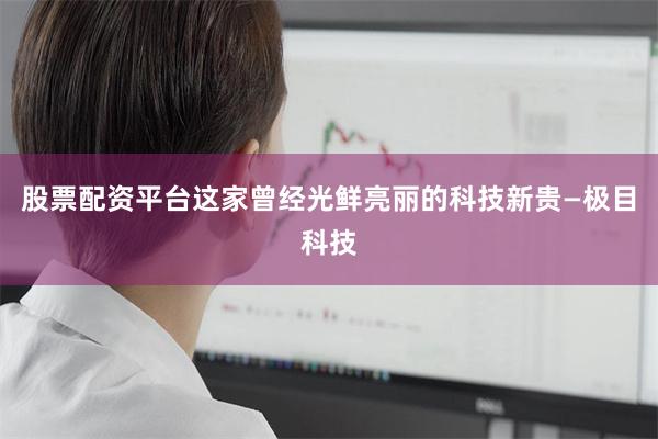 股票配资平台这家曾经光鲜亮丽的科技新贵—极目科技